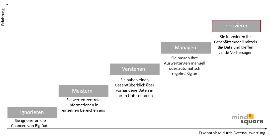 Big Data Reifegrade