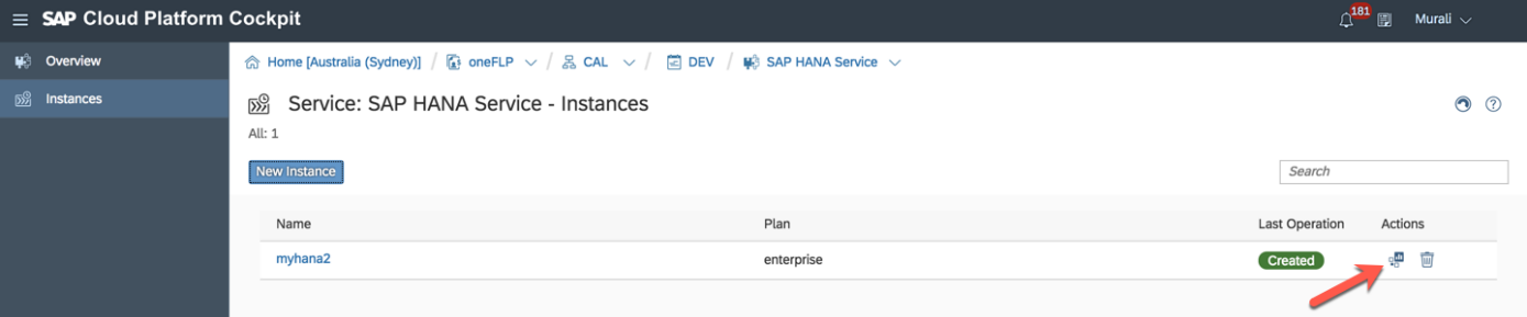 Herzlichen Glückwunsch Sie haben eine neue HANA-Instanz erstellt. Mit Klick auf das Symbol unter Actions können Sie das Dashboard öffnen