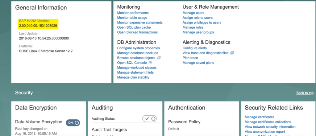 In Overall Database Status können Sie auch Ihre aktuelle HANA-Version ablesen