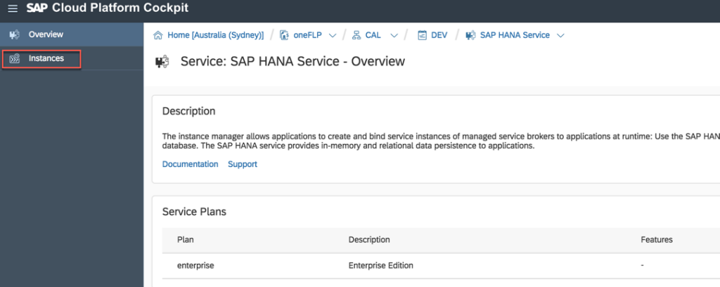 Um eine neue HANA-Instanz erstellen zu können, klicken Sie nach Auswählen des HANA Services auf New Instances
