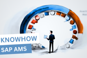 SAP Application Management Services