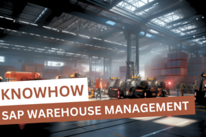 SAP Business Warehouse Management (SAP WM)