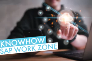 SAP Work Zone Know-How