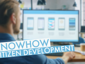 Citizen Development