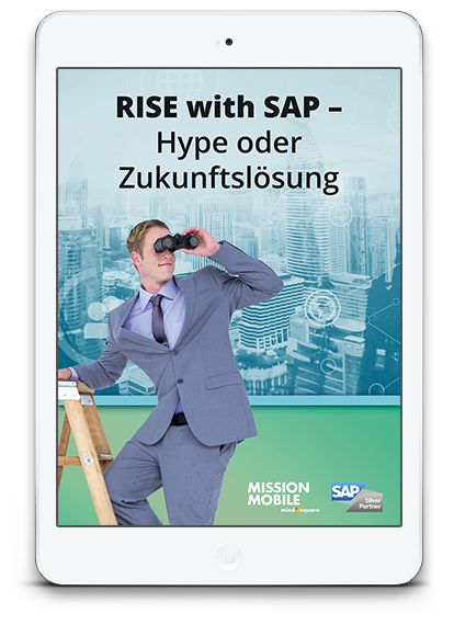 RISE with SAP - Hype oder Zukunftslösung