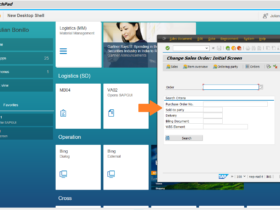 Start der SAP GUI aus dem Launchpad heraus