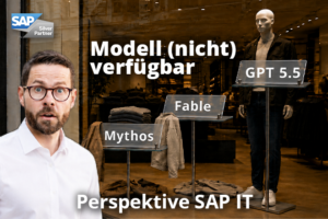 Perspektive SAP IT